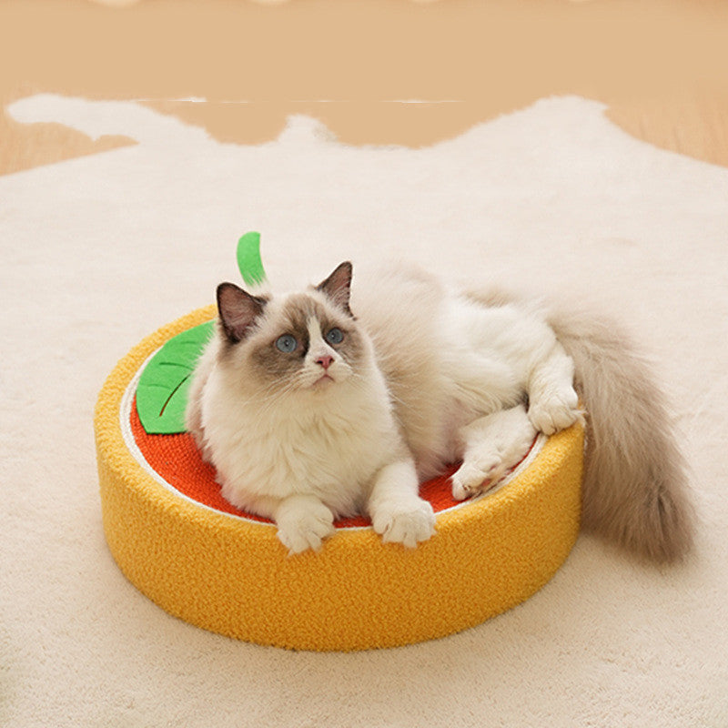 Cat Scratcher Board